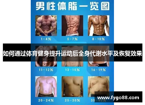 如何通过体育健身提升运动后全身代谢水平及恢复效果